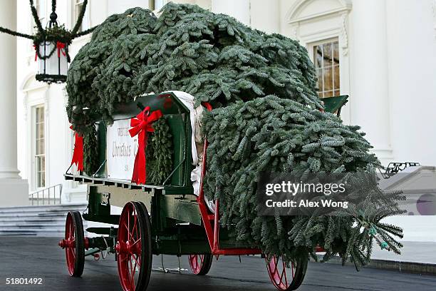 The official White House Christmas tree, an 18 1/2 foot Noble fir, arrives at the North Portico of the White House November 29, 2004 in Washington,...