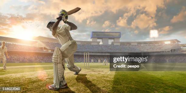 cricket batsman hitting ball during cricket match in stadium - cricket ball close up stockfoto's en -beelden