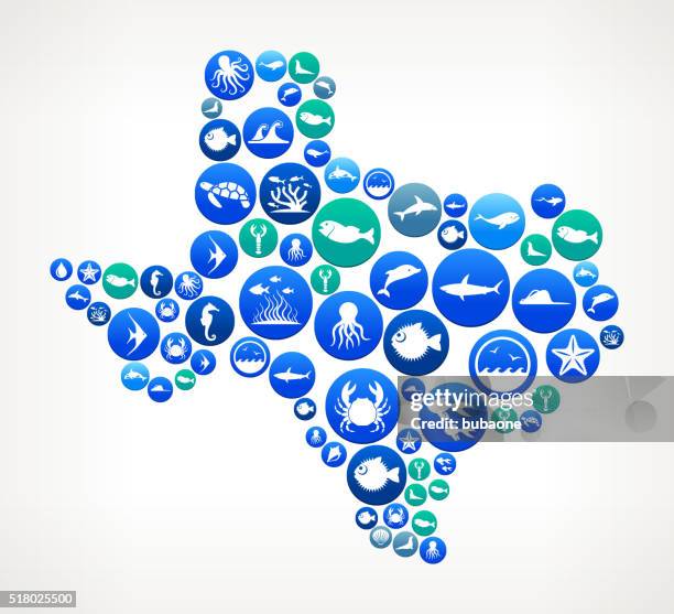 texas sea and marine life button pattern - texas state aquarium stock illustrations