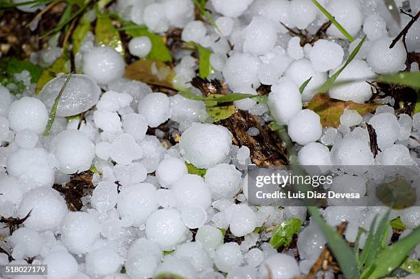 hail - hailstorm stock pictures, royalty-free photos & images