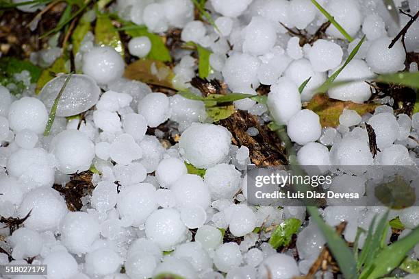 hail - granizo imagens e fotografias de stock