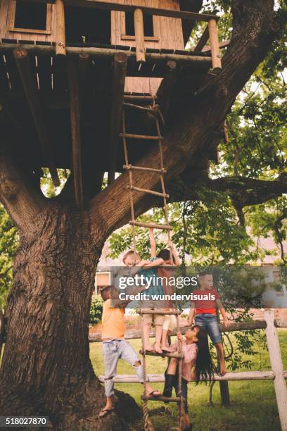group of children playing on the rope ladder of treehouse - tree house stock pictures, royalty-free photos & images