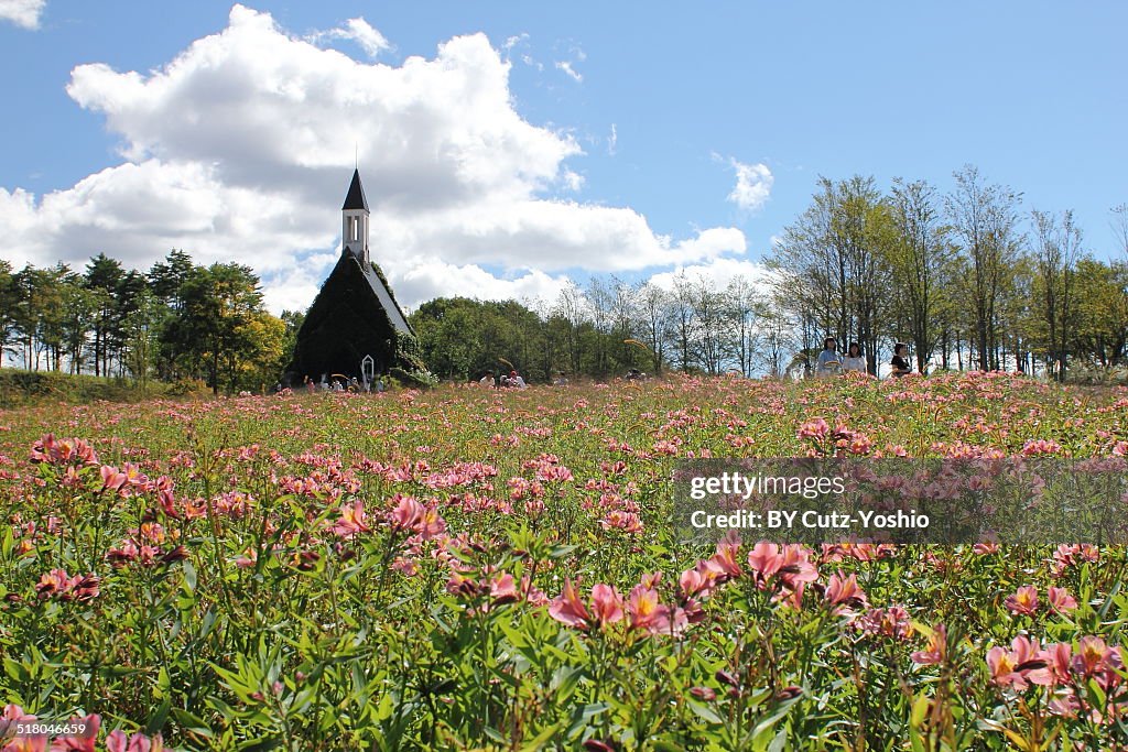 The Church Over Flowers