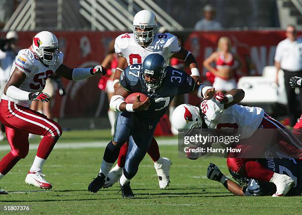 Running back Shaun Alexander of the Seattle Seahawks evades defensive end Peppi Zellner, defensive tackle Darnell Dockett, and linebacker Karlos...