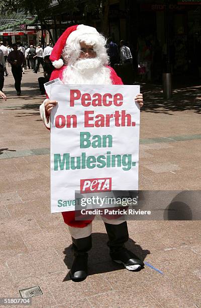 Santa Claus asks shoppers to leave Merinos wool on the shelves this Christmas during a "Peta" protest at the Pitt Street mall December 1, 2004 in...