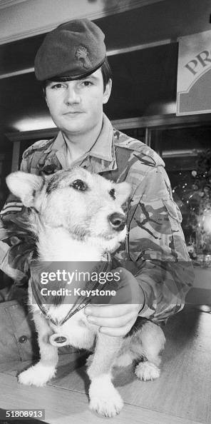 Corporal Arwel Lewis of the Welsh Guards with Rats the mongrel, who ...