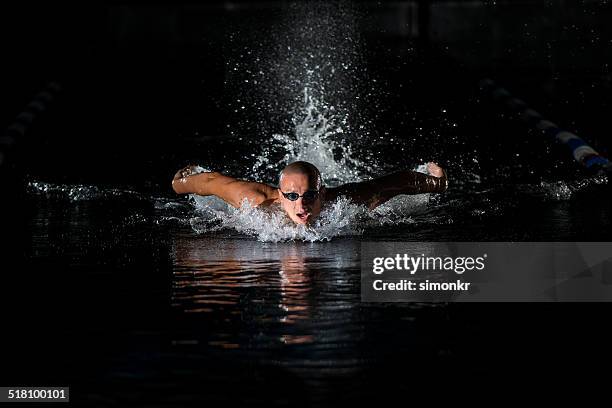 swimmer swimming the butterfly stroke - butterfly stroke stock pictures, royalty-free photos & images