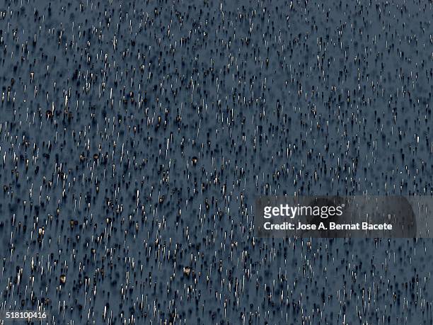 water drops of many colors on a gray blackground - black blackground stock pictures, royalty-free photos & images