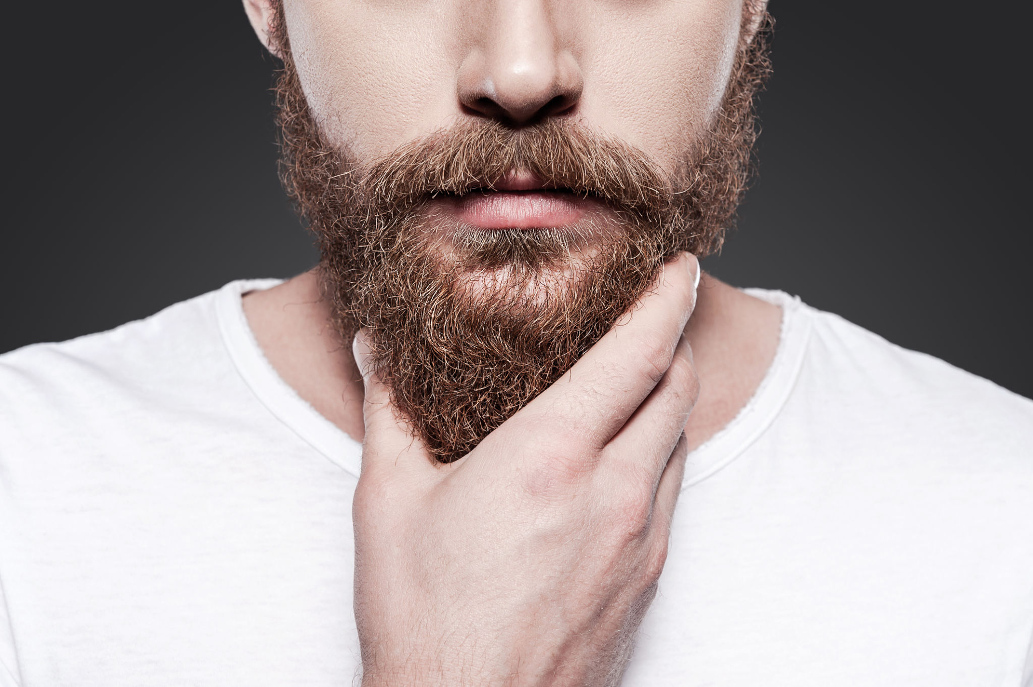 beard styles