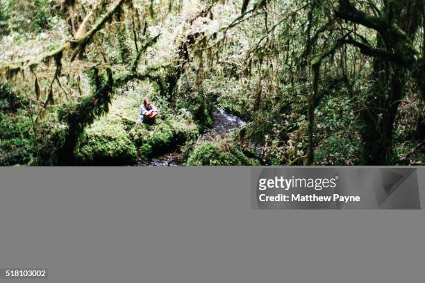 woman hiker rests in mossy rainforest by stream, andes mountains, chile - brooke payne stock pictures, royalty-free photos & images