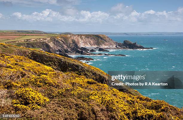pembrokeshire coastline on a sunny spring day - galles meridionale foto e immagini stock