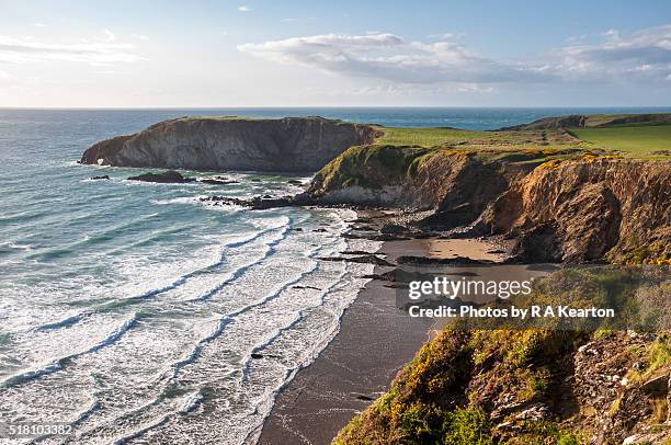 traeth llyfyn, pembrokeshire, wales - galles meridionale foto e immagini stock