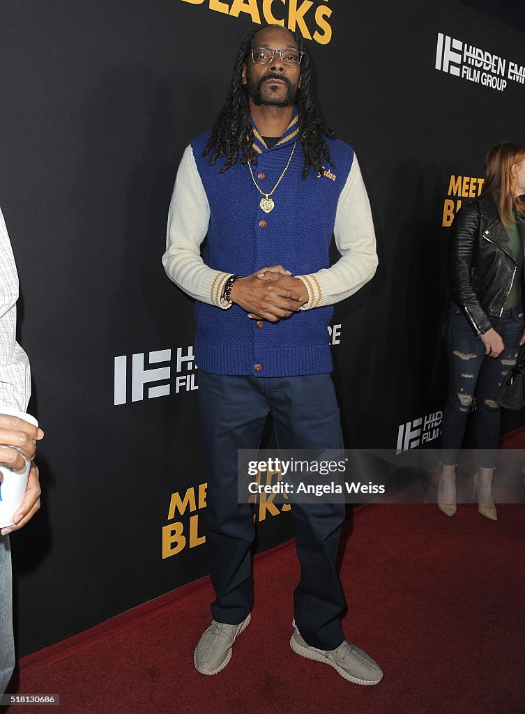 Premiere Of Freestyle Releasing's "Meet The Blacks" - Red Carpet