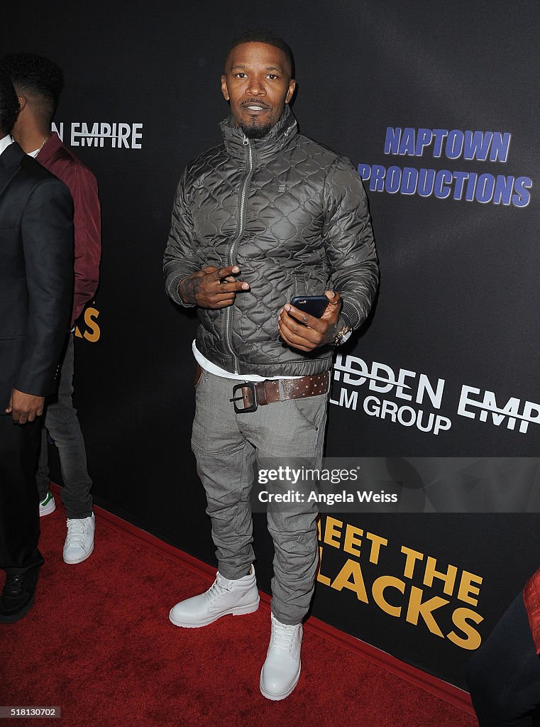 Premiere Of Freestyle Releasing's "Meet The Blacks" - Red Carpet