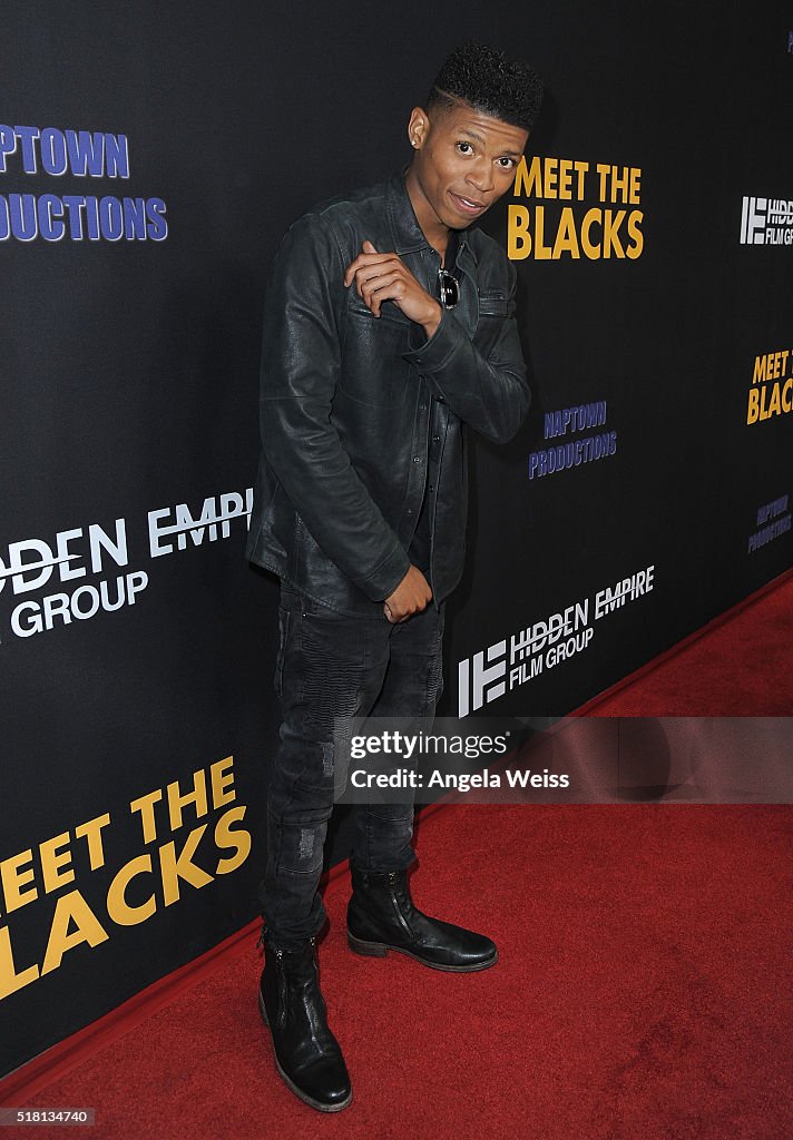 Premiere Of Freestyle Releasing's "Meet The Blacks" - Red Carpet