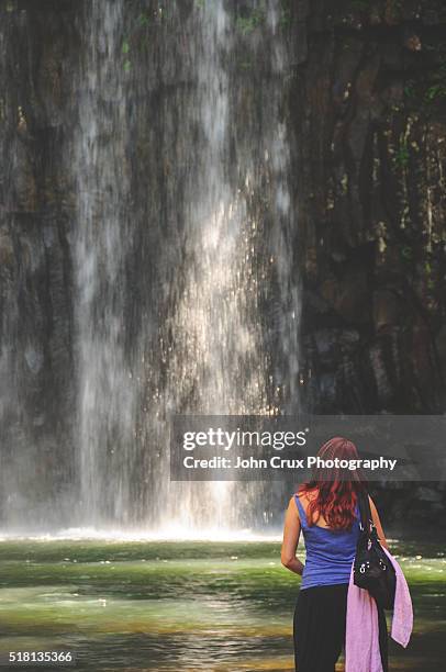 millaa millaa falls tourist - millaa millaa waterfall stock pictures, royalty-free photos & images