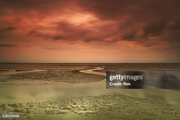 german north sea region - wattenmeer at colorful sunset - german north sea region - fotografias e filmes do acervo