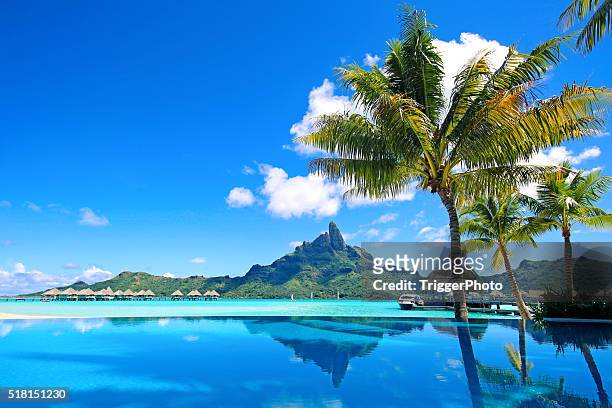 bora bora infinity pool - tropical climate stock pictures, royalty-free photos & images