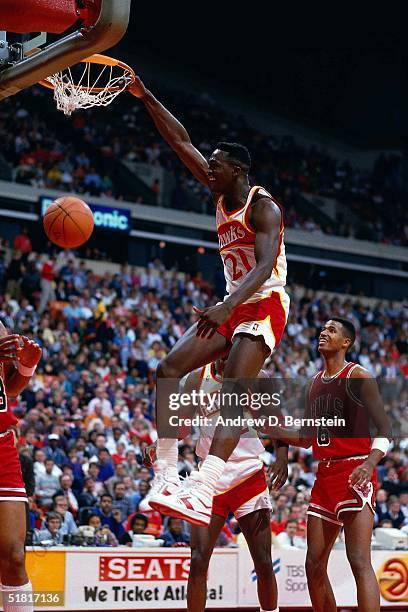 Dominique Wilkins of the Atlanta Hawks dunks against the Chicago Bulls during the NBA game in Atlanta, Georgia. NOTE TO USER: User expressly...