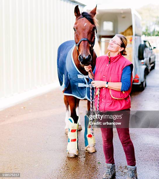 equine veterinary hospital - horse family stock pictures, royalty-free photos & images