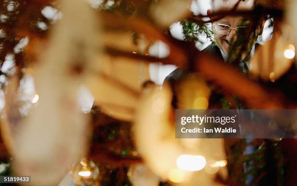 Man looks at Tate Britain's Christmas tree dressed by sculptor Richard Wentworth on December 3, 2004 in London, England. The traditional Norwegian...