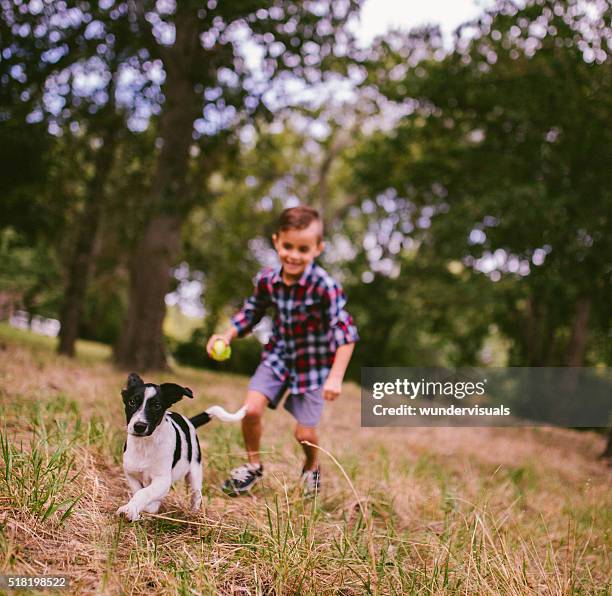 junge verfolgen seine ausführen welpe hund im park mit kugel - boy running with dog stock-fotos und bilder