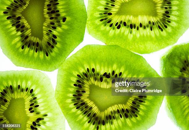 kiwi slices - light box stock pictures, royalty-free photos & images
