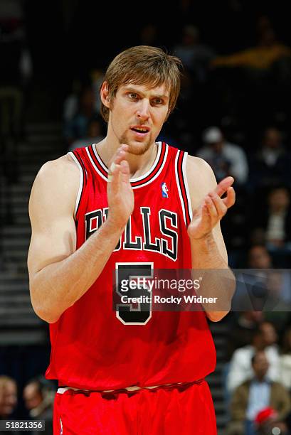 Andres Nocioni of the Chicago Bulls looks on while facing the Golden State Warriors during the game at the Arena in Oakland on November 17, 2004 in...