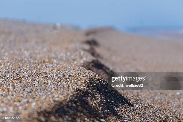 shingle on the beach at cley next the sea - blakeney national nature reserve stock pictures, royalty-free photos & images