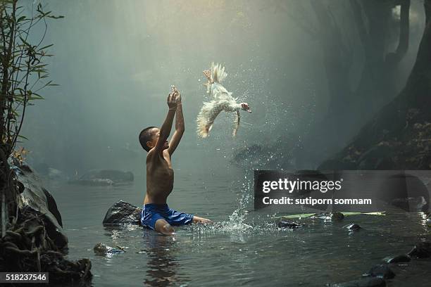 the boy cast white duck - arm span stockfoto's en -beelden