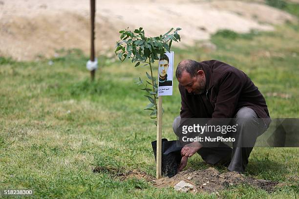 Palestinian relative sits next to a tree with a poster of journalist Hassan Shaqoura, who was killed in the summer's 2008 Israel-Hamas war, during an...