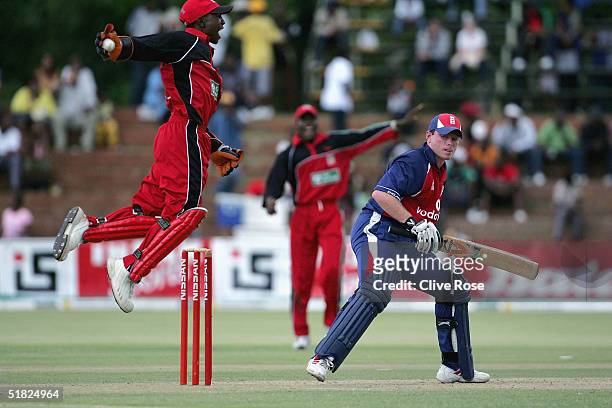 Tatanda Taibu of Zimbabwe celebrates catching Ian Bell behind during the 3rd One Day International against Zimbabwe at the Queens Sports Club on...