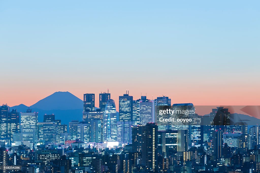 Tokyo Skyline in der Abenddämmerung