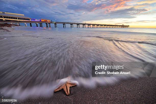 dania beach fishing pier sunrise, florida - fort lauderdale florida fotografías e imágenes de stock