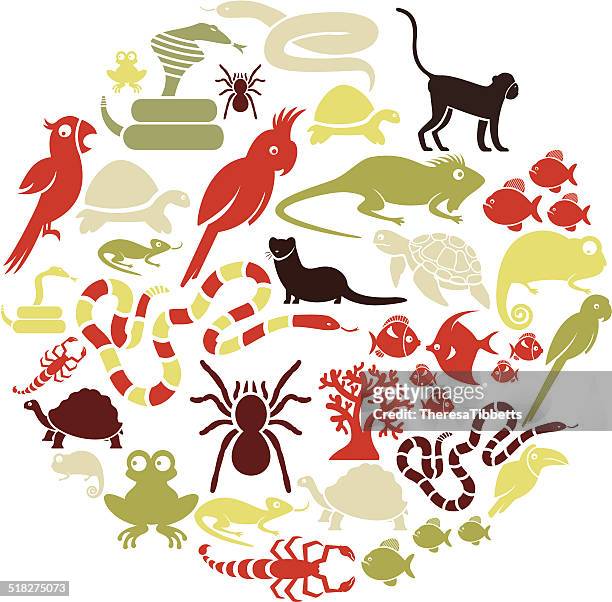 exotic pets icon set - tarantula stock illustrations