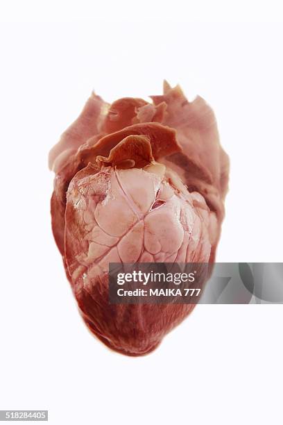 close up of human heart viewed from front - menselijk hart stockfoto's en -beelden
