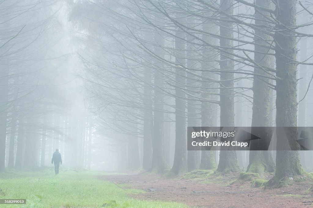 Man walking in fog, Dartmoor, Devon