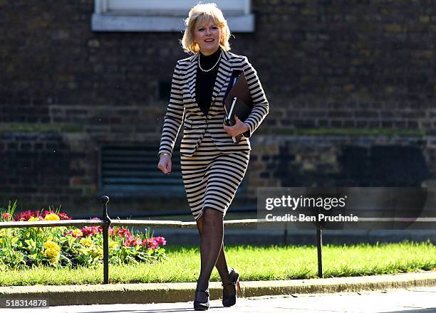 Minister for Small Business Anna Soubry arrives at Number 10 Downing Street for a meeting with British Prime Minister David Cameron on March 31, 2016...