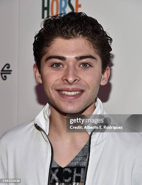 Actor Ryan Ochcoa attends the premiere of "The Dark Horse" hosted by James Cameron at Ace Theater Downtown LA on March 30, 2016 in Los Angeles,...