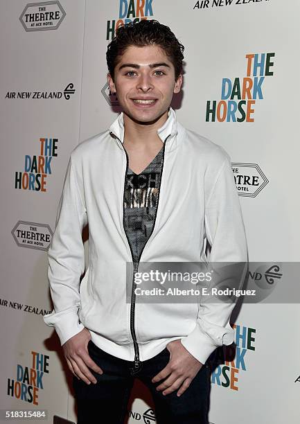 Actor Ryan Ochcoa attends the premiere of "The Dark Horse" hosted by James Cameron at Ace Theater Downtown LA on March 30, 2016 in Los Angeles,...