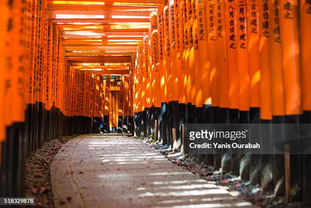 fushimi inari shinto shrine in kyoto, japan : orange vermillon torii gates - torii tor stock-fotos und bilder