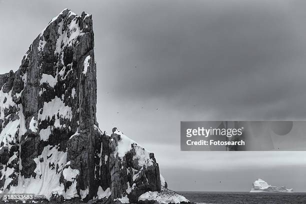 elephant island - elephant island south shetland islands stock pictures, royalty-free photos & images