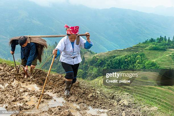 rice farmers ploughing by hand - plow stock pictures, royalty-free photos & images