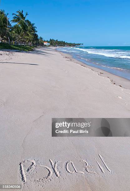 tropical beach, carneiros beach, atlantic ocean, brazil - tamandaré - fotografias e filmes do acervo
