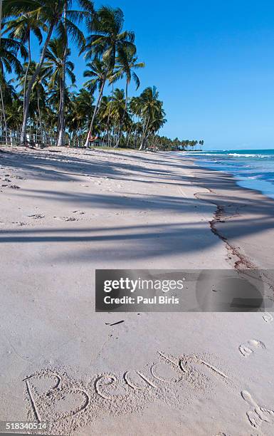 tropical beach, carneiros beach, atlantic ocean, brazil - tamandaré - fotografias e filmes do acervo
