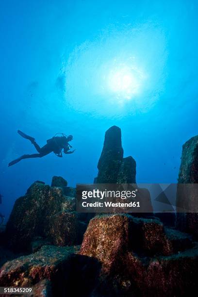 portugal, azores, santa maria, atlantic ocean, diver at volcanic basalt reef - santa maria stock pictures, royalty-free photos & images