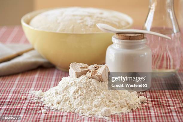 ingredients of yeast dough and bowl of raw yeast dough on cloth - levadura fotografías e imágenes de stock