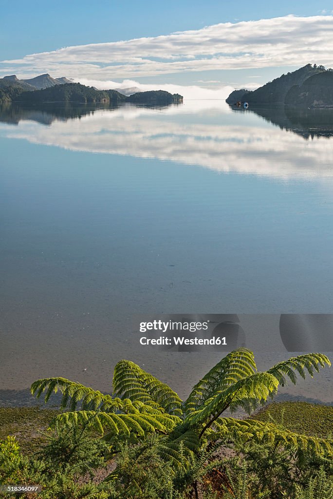 New Zealand, Golden Bay, Whanganui Inlet, islands and mountains reflecting in the water near Westhaven