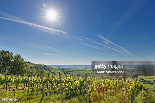 austria, burgenland, oberwart district, eisenberg an der pinka, - burgenland - fotografias e filmes do acervo