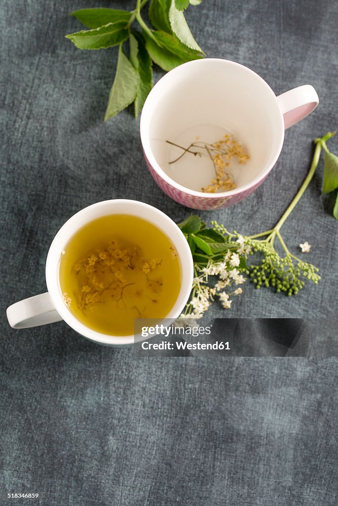 Elderberry tea in tea cup and elderflower